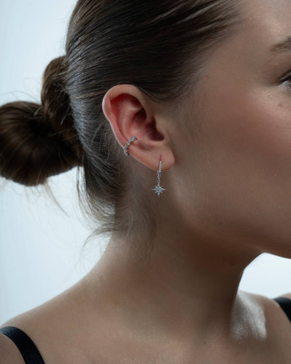 Drops Earrings